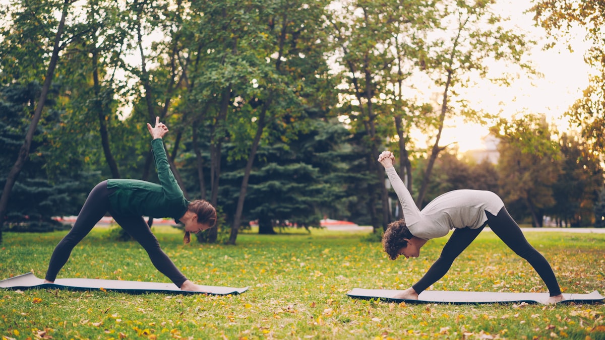 Natural joint mobility support — herbs and active lifestyle